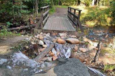 Петрозаводчане нашли ещё один мост через Неглинку, пострадавший от ливней