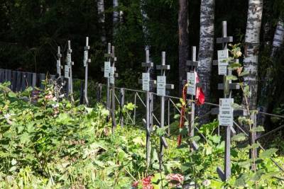 Тела 45 советских офицеров захоронили в Киришском районе