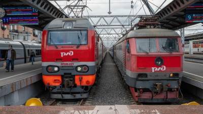 В Петербург пустят дополнительные поезда на ноябрьские праздники