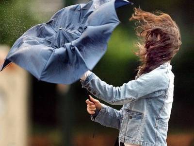 МЧС предупреждает жителей региона о сильном ветре