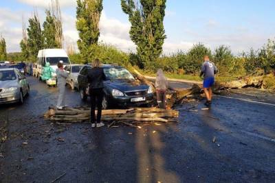 Сухое дерево упало на автомобиль возле КПП «Успенка»: ВИДЕО