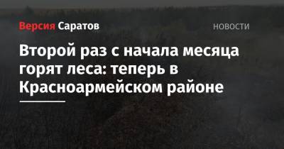 Второй раз с начала месяца горят леса: теперь в Красноармейском районе