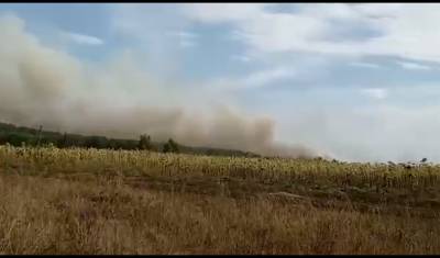 В Башкирии пожар, который пришел из Оренбургской области, достиг 61 гектара