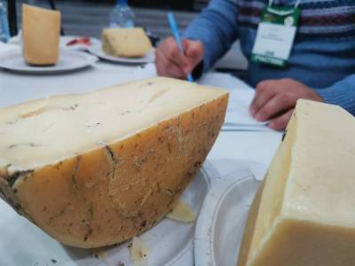 В Санкт-Петербурге прошла сырная выставка The Baltic Cheese Awards 2021