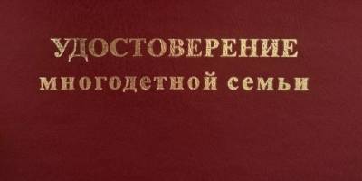 В Красногорске многодетным семьям предоставят электронное удостоверение