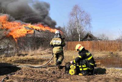 Природный пожар добрался до жилых домов в Оренбургской области