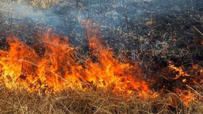 Возгорание сухой травы привело к крупному природному пожару под Оренбургом