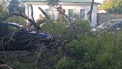 Шторм в Крыму: улицы превратились в реки и заблокированы деревьями