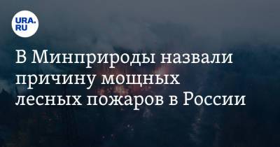 В Минприроды назвали причину мощных лесных пожаров в России