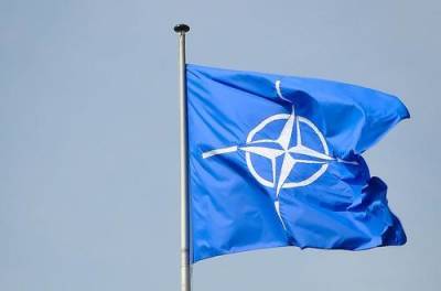 Официальный представитель НАТО Лунгеску призвала Россию и Белоруссию «действовать предсказуемо» в рамках учений