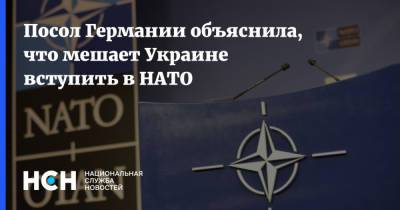 Посол Германии объяснила, что мешает Украине вступить в НАТО