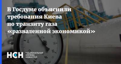 В Госдуме объяснили требования Киева по транзиту газа «разваленной экономикой»