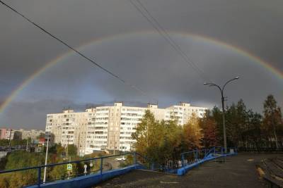 Более 50 кубометров смета вывезено с улиц Мурманска за минувшие сутки