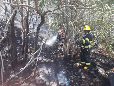 Пожар в высокогорье Габалы потушен