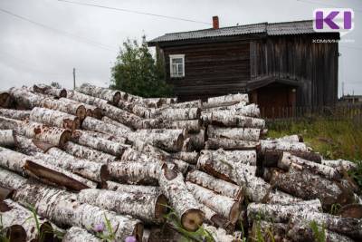 Усть-Цилемский и Ижемский районы станут пилотными по введению единый цены на дрова