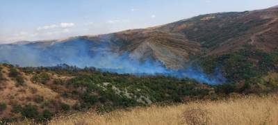 Пожар в Исмаиллинском районе перекинулся на лесополосу
