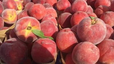 Диетологи назвали фрукт для улучшения пищеварения и укрепления иммунитета