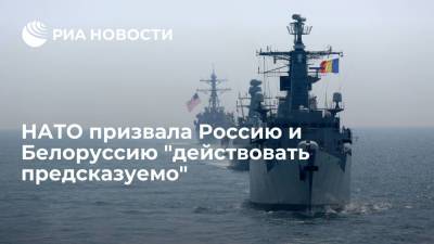 Представитель НАТО Лунгеску: Россия и Белоруссия должны действовать предсказуемо