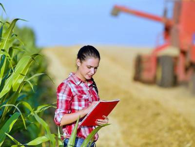 Украина собрала рекордный урожай зерна