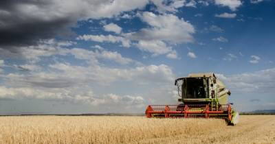 В Украине рекордный урожай ранних зерновых
