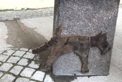 Писающая собака Глаша появилась рядом с памятником Довлатову