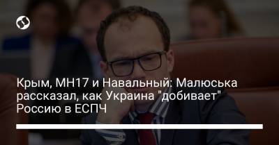 Крым, МН17 и Навальный: Малюська рассказал, как Украина "добивает" Россию в ЕСПЧ