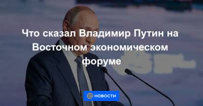 Сергей Шойгу - Владимир Путин - Сергей Лавров - Сергей Брилев - Что сказал Владимир Путин на Восточном экономическом форуме - news.mail.ru - Россия