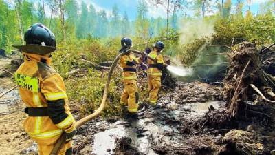 В МЧС рассказали о ситуации с пожаром в заповеднике в Мордовии