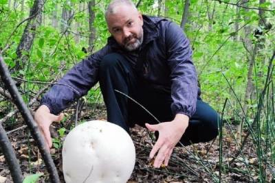 В Пронском районе Рязанской области нашли гигантские грибы-дождевики