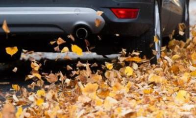 Эксперты дали советы, как подготовить свое авто к осени
