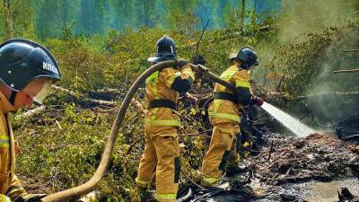 В МЧС рассказали о ситуации с пожаром в мордовском заповеднике