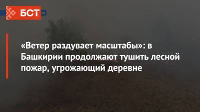 «Ветер раздувает масштабы»: в Башкирии продолжают тушить лесной пожар, угрожающий деревне