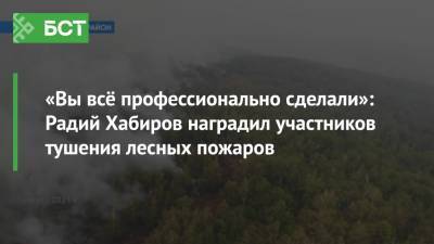 «Вы всё профессионально сделали»: Радий Хабиров наградил участников тушения лесных пожаров