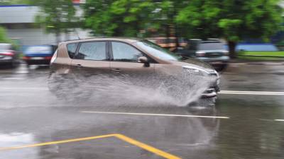 Автоэксперт Попов напомнил о правилах безопасного вождения во время дождя