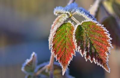 Резкое похолодание и заморозки: какой будет погода на Луганщине в ближайшие дни