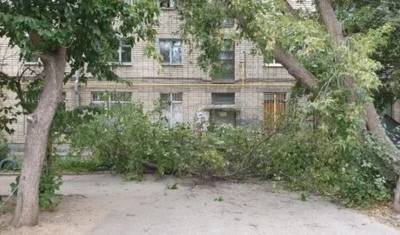 Два человека пострадали от урагана в Екатеринбурге