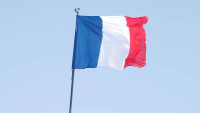 В МИД Франции сообщили о хакерской атаке на сайт визового центра
