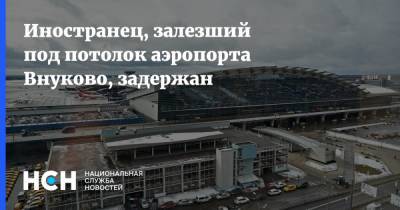 Иностранец, залезший под потолок аэропорта Внуково, задержан