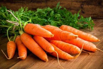 Какие сорта моркови можно посеять под зиму