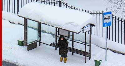 "Нервозность климата": погодные аномалии этой зимой обещают россиянам
