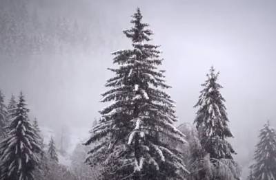 Снеговиков может и не быть: синоптики рассказали, какой будет погода на Новый год и зимой