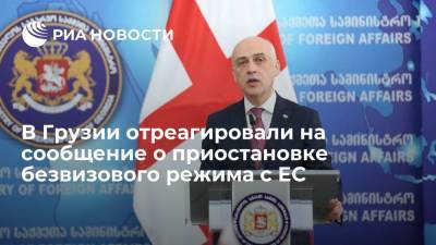 Глава МИД Грузии Залкалиани опроверг информацию о приостановке безвизового режима с ЕС