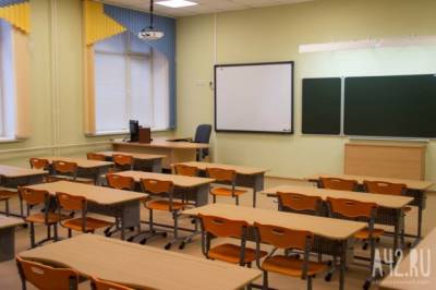 В школах Кузбасса более 110 классов перешли на дистанционное обучение