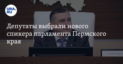 Депутаты выбрали нового спикера парламента Пермского края