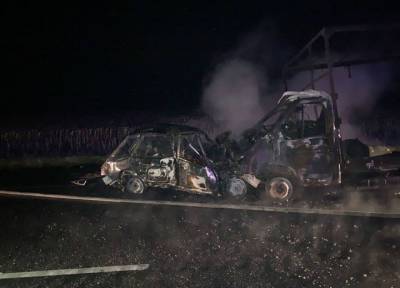 Два человека погибли в огненном ДТП на трассе в Волгоградской области