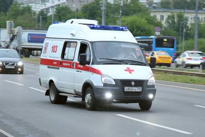 «Скалолаза» из аэропорта Внуково госпитализировали с переломом