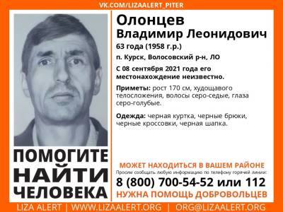 В Волосовском районе без вести пропал 63-летний мужчина