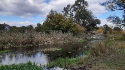 За расчисткой реки Подгорной проследит воронежский департамент экологии