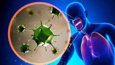 Москвичам с симптомами ОРВИ будут делать тесты на антиген к коронавирусу