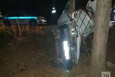В Челнах малолитражка разбилась об дерево: водитель погиб